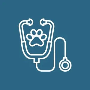 wellness-care Pet wellness icon